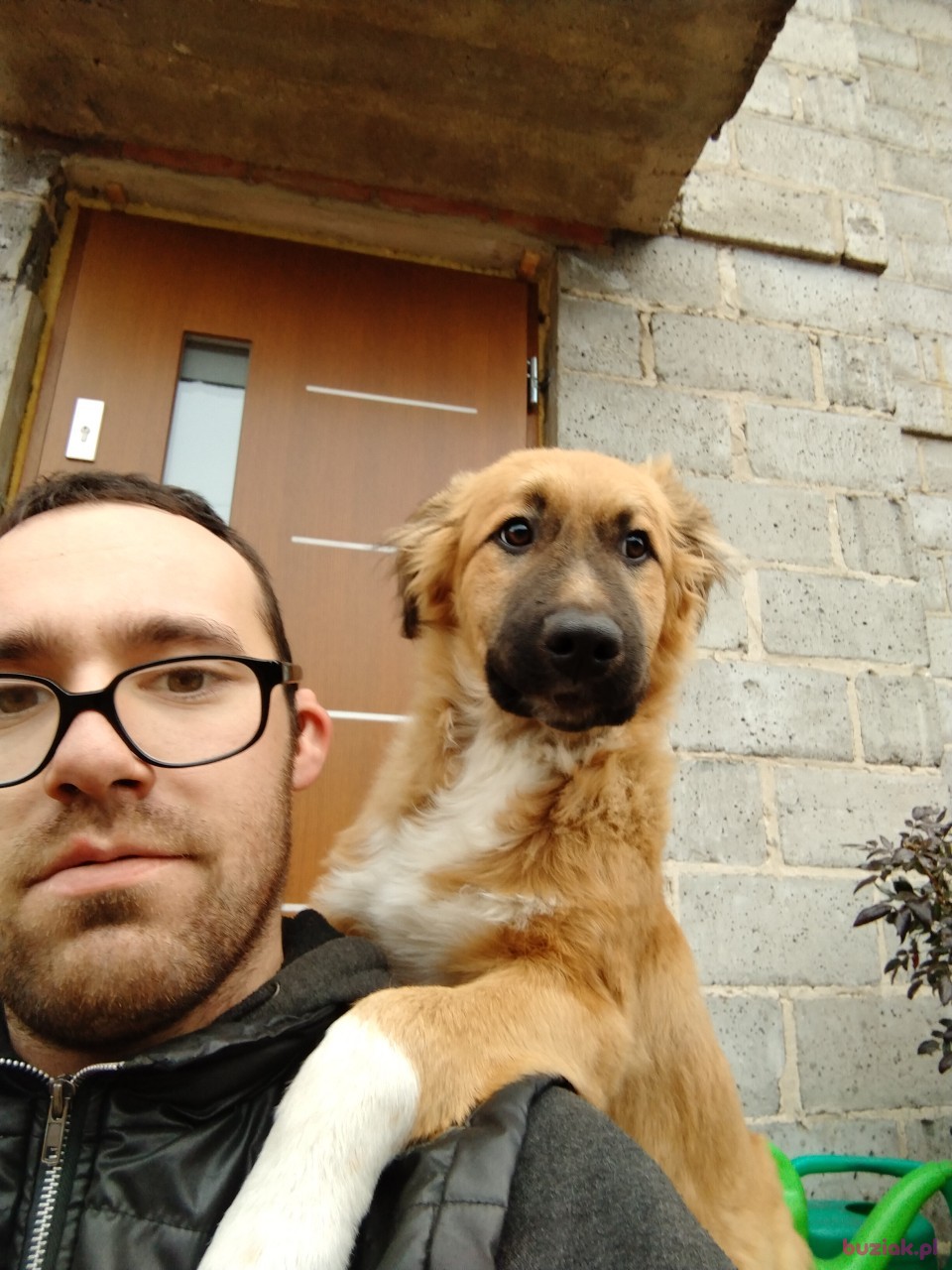 Daniel, Mężczyzna, 29, Opoczno, Polska: 1