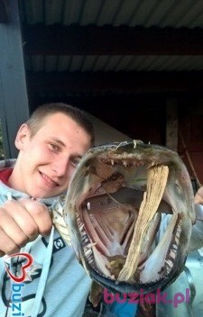 krzysztof, Mężczyzna, 28, Kętrzyn, Polska, Zdjęcie: 2