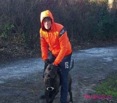 Jakub, Mężczyzna, 41, Gliwice, Polska, Zdjęcie: 3