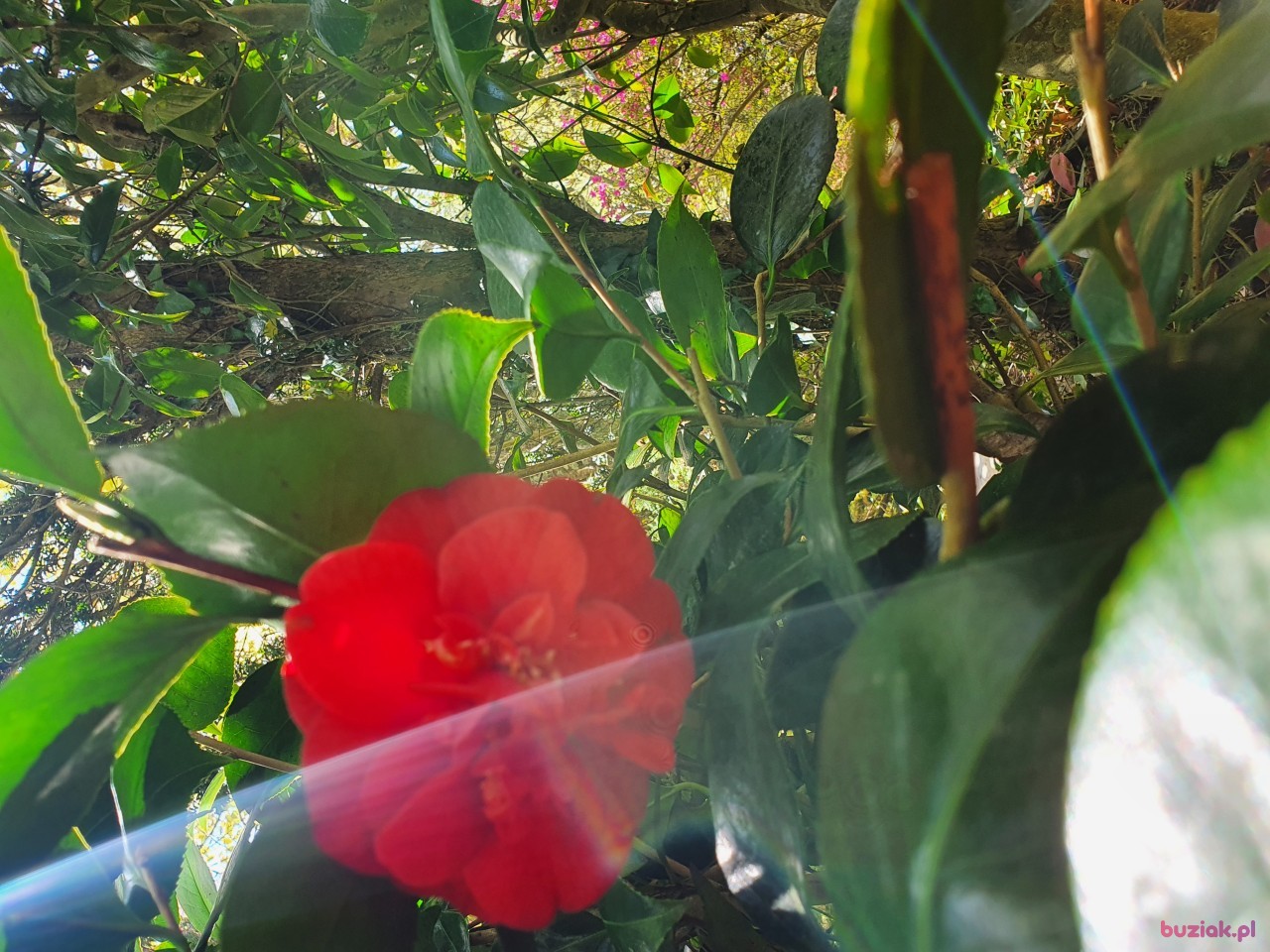 Olka, Female, 58, Westminster, Wielka Brytania, Photo: 5