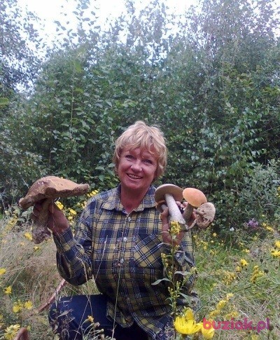 Bajka, Kobieta, 71, Tychy, Polska, Zdjęcie: 2