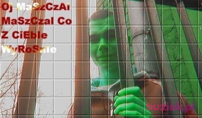 maszczal, Male, 38, Ruda Śląska, Polska, Photo: 1