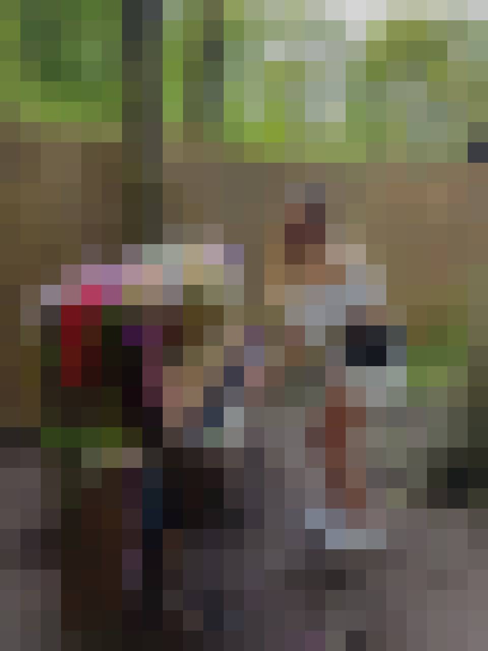 Sylwia, Kobieta, 32, Arcen Limburg Province, Holandia, Zdjęcie: 3