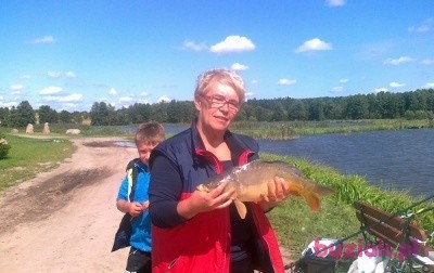 Urszula, Kobieta, 69, Piła, Polska: 1