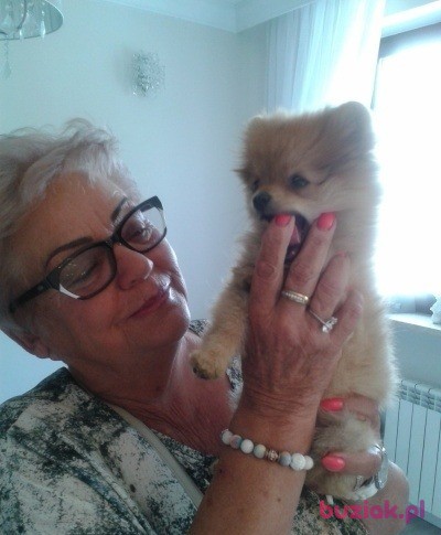 Anna, Kobieta, 75, Warszawa, Polska, Zdjęcie: 4