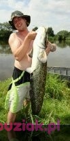 piotr, Mężczyzna, 49, Gorzów Wielkopolski, Polska, Zdjęcie: 2
