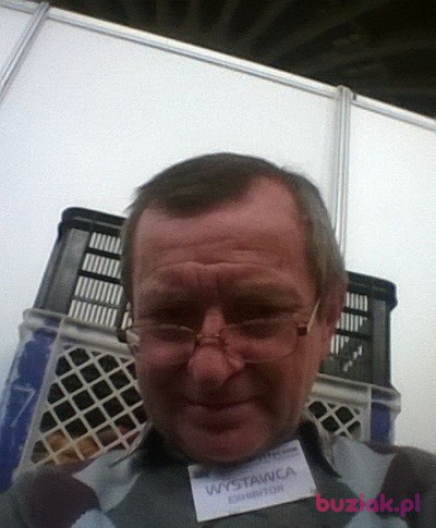 Henryk, Male, 68, Legnica, Polska, Photo: 2