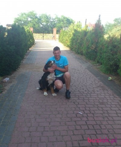 patryk29210, Male, 31, Grudziądz, Polska: 1