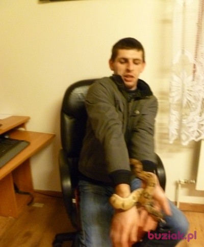 radarek28, Male, 37, Polska, Photo: 2