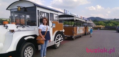 Iwona, Female, 41, Żory, Polska: 1