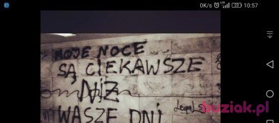 Tasior, Mężczyzna, 38, Kalisz, Polska, Zdjęcie: 5
