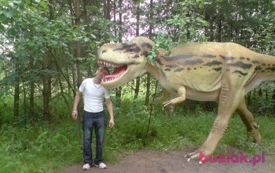 Paweł, Male, 41, Witnica, Polska: 1