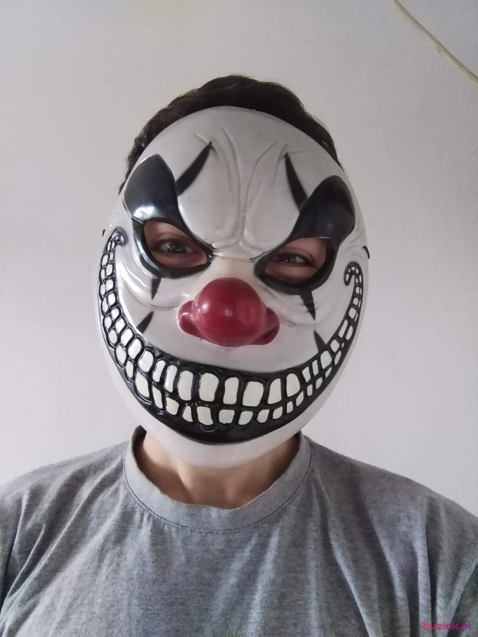 Rafał, Male, 26, Tilburg, Holandia, Photo: 2