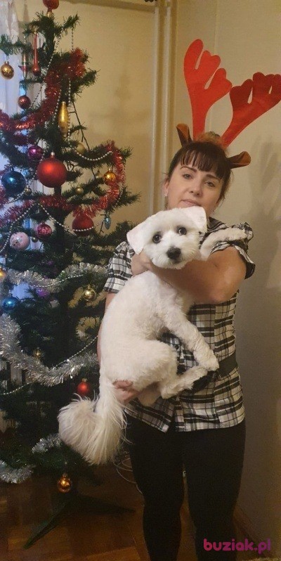 marzena, Kobieta, 45, Bielawa, Polska, Zdjęcie: 5