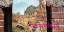 Adam, Mężczyzna, 50, Lubań, Polska, Zdjęcie: 8