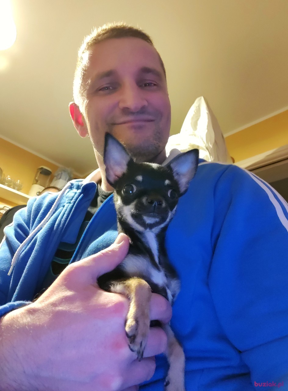 Mario, Mężczyzna, 45, Zielona Góra, Polska, Zdjęcie: 1