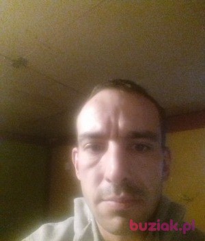 Tomasz, Male, 40, Leszno, Polska: 1