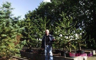 Piotr, Male, 63, Września, Polska: 1