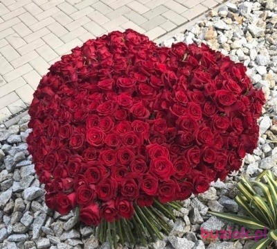 Cezary , Mężczyzna, 56, Niemcy, Zdjęcie: 3