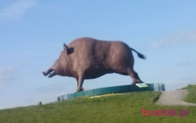 leszek, Male, 52, Nakło nad Notecią, Polska, Photo: 5