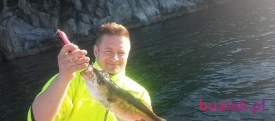 Rafal, Mężczyzna, 43, Wejherowo, Polska, Zdjęcie: 2