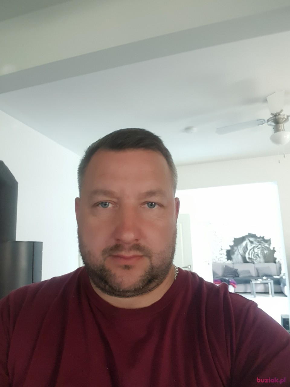 Maciej, Male, 47, Gromitz Schleswig Holstein, Niemcy: 1