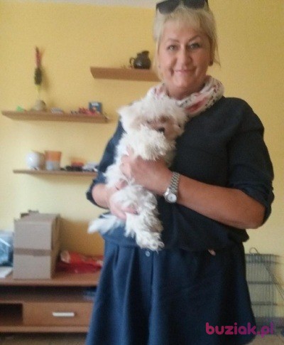 Baja, Kobieta, 60, Łódź, Polska, Zdjęcie: 2