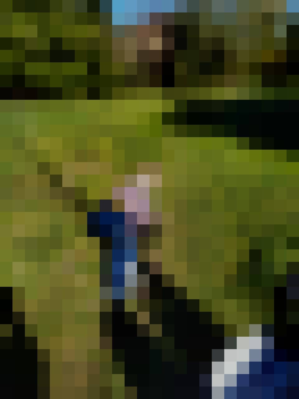 Beata, Kobieta, 61, Recklinghausen North Rhine Westphalia, Niemcy, Zdjęcie: 18