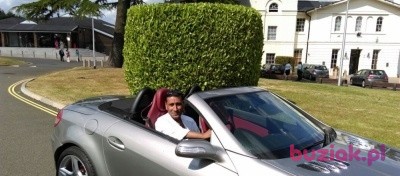 Ray, Mężczyzna, 52, Westminster, Wielka Brytania: 1