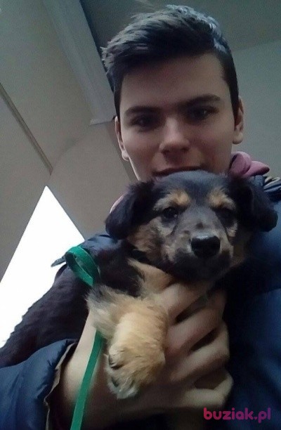 Baranek981, Mężczyzna, 26, Ostrów Wielkopolski, Polska: 1