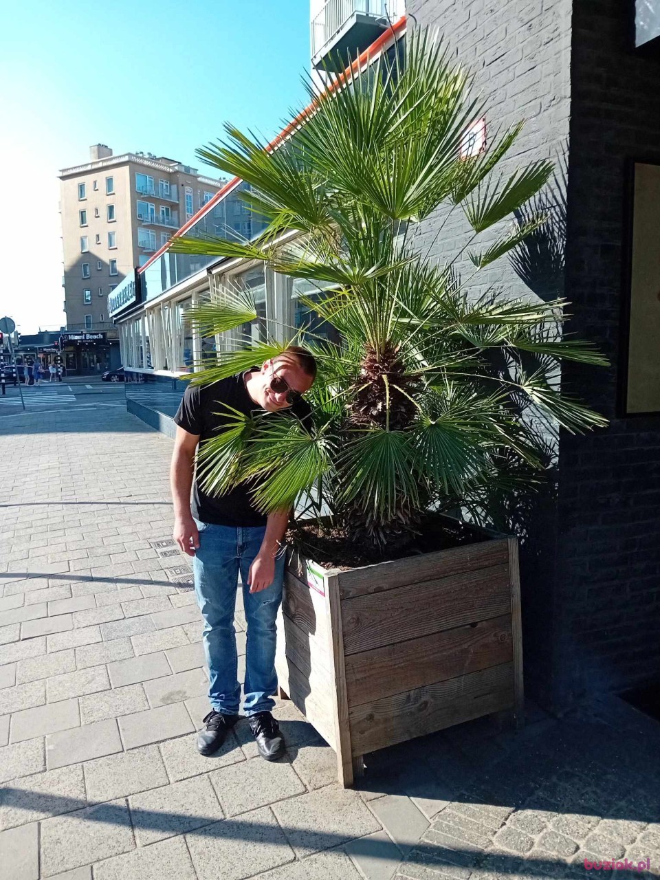 Bart, Male, 35, Zoetermeer, Holandia: 1