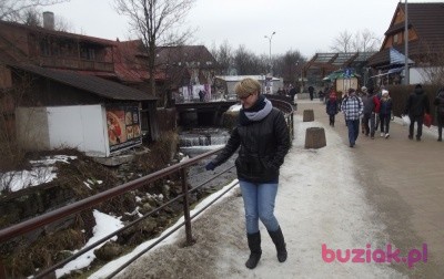 lidia, Kobieta, 52, Sandomierz, Polska, Zdjęcie: 5
