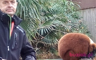Jurand , Mężczyzna, 48, Rotterdam South Holland Province, Holandia, Zdjęcie: 1