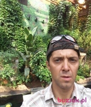 Rafał, Mężczyzna, 38, Kutno, Polska: 1