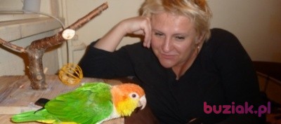 dariati, Kobieta, 48, Bydgoszcz, Polska: 1