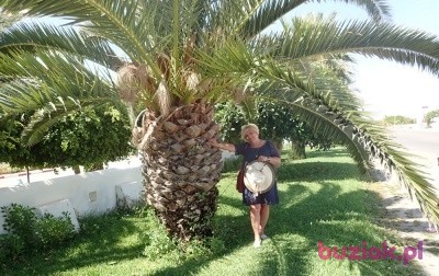 Henia, Female, 62, Białogard, Polska, Photo: 1