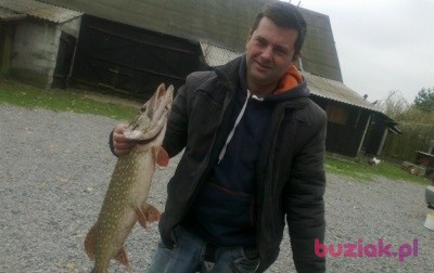 krzysztof, Mężczyzna, 41, Mszczonów, Polska: 1