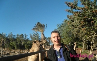 Krzysztof, Male, 53, Frederiksberg, Dania, Photo: 2