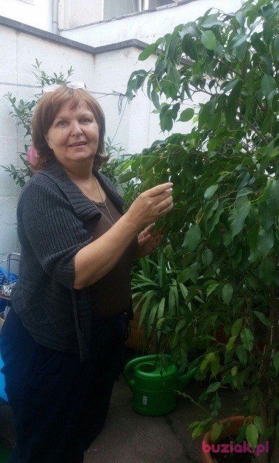 Aga, Kobieta, 69, Cologne North Rhine Westphalia, Niemcy, Zdjęcie: 3
