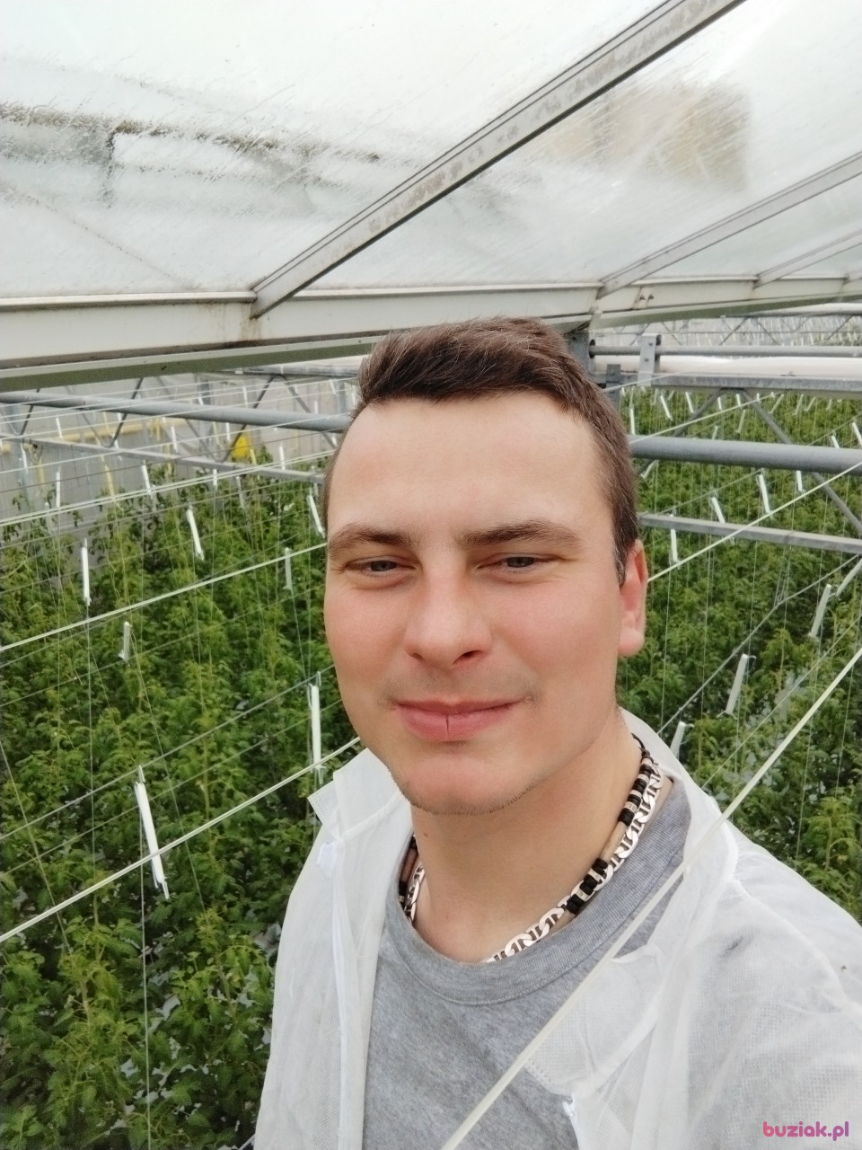 Mar, Mężczyzna, 34, Haga, Holandia, Zdjęcie: 2