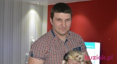 Darek, Male, 39, Chojna, Polska: 1