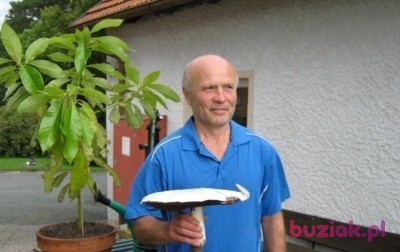 Czeslaw, Male, 70, Nürnberg, Niemcy, Photo: 2