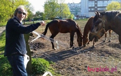 Adam, Mężczyzna, 66, Wrocław, Polska, Zdjęcie: 2