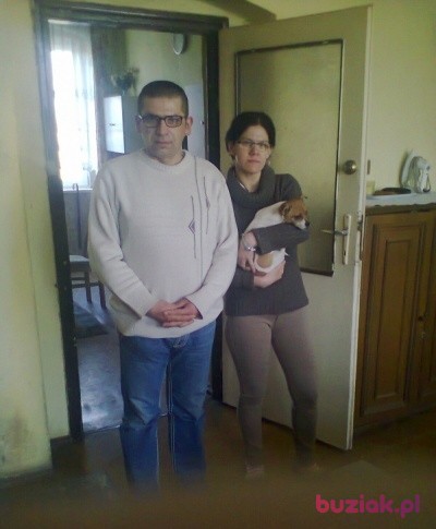 Andrzej, Mężczyzna, 44, Pyskowice, Polska: 1