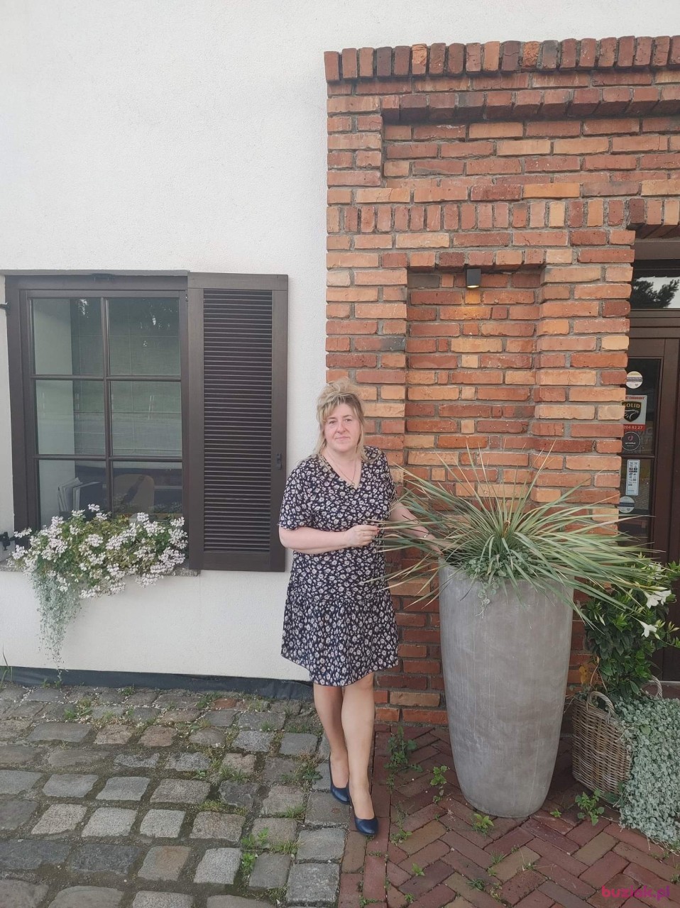 Iwona, Kobieta, 54, Zabrze, Polska, Zdjęcie: 3