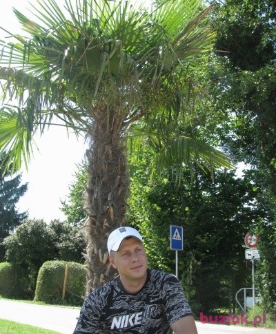 ariel36, Male, 45, Szczecin, Polska, Photo: 1