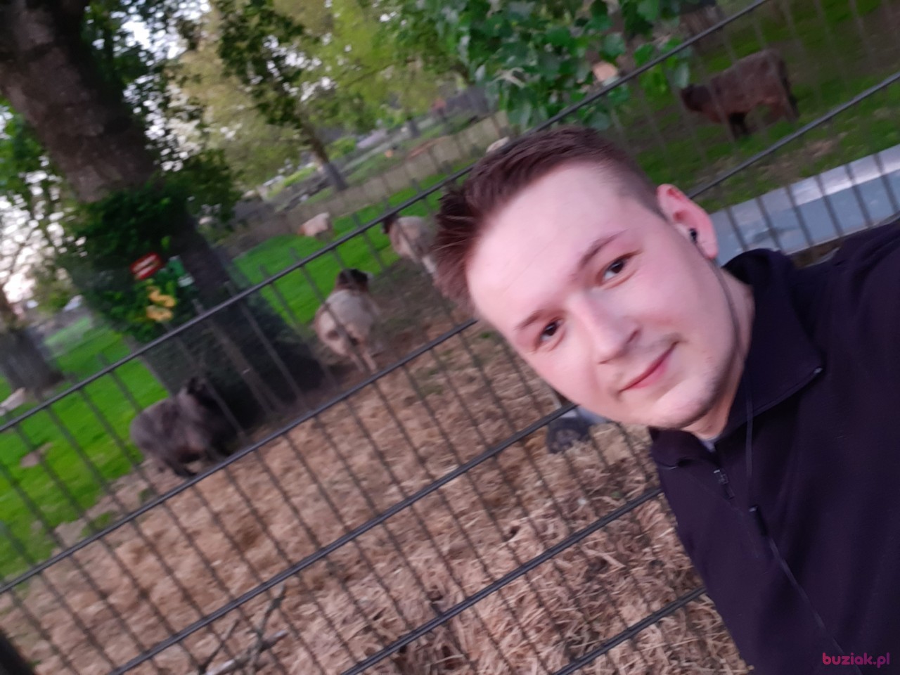 Rysiek, Mężczyzna, 33, Oss North Brabant Province, Holandia: 1