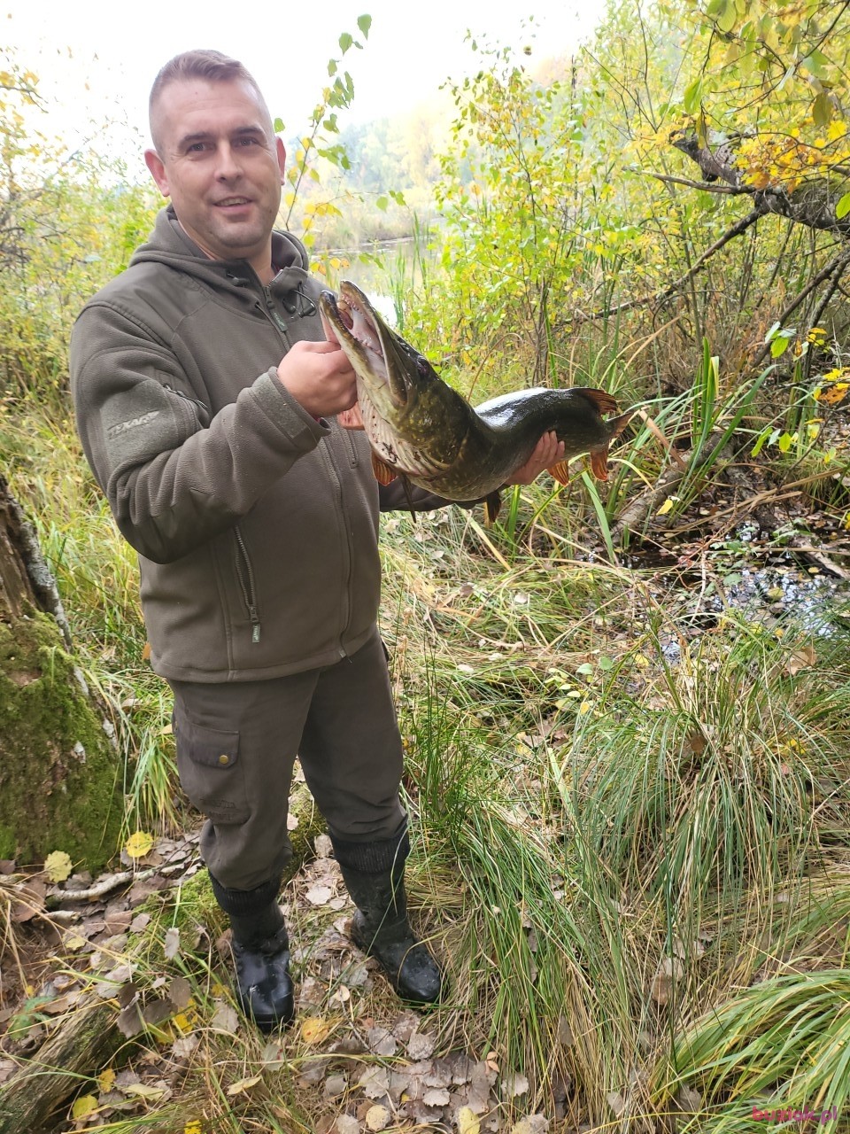 Piotr, Male, 36, Lębork, Polska: 1