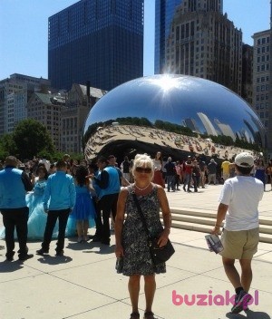 Wiki, Female, 68, Chicago Illinois, USA: 1