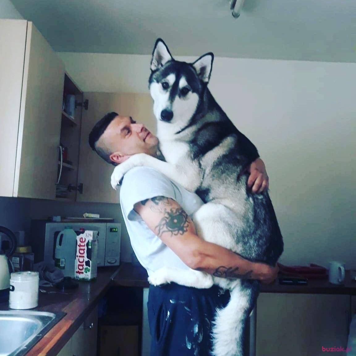 robert, Mężczyzna, 49, Boston, Wielka Brytania, Zdjęcie: 1